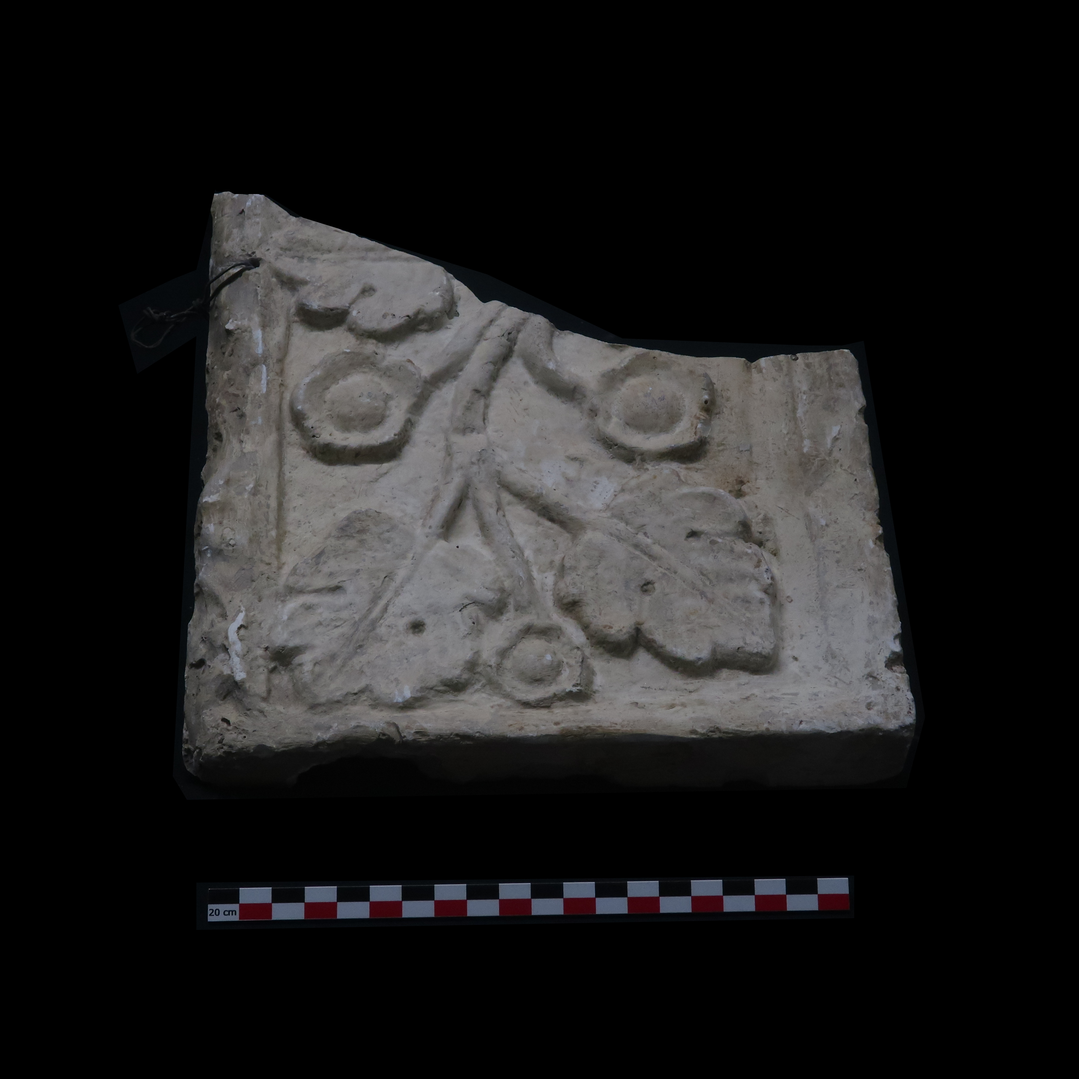AM-MOUL-001
